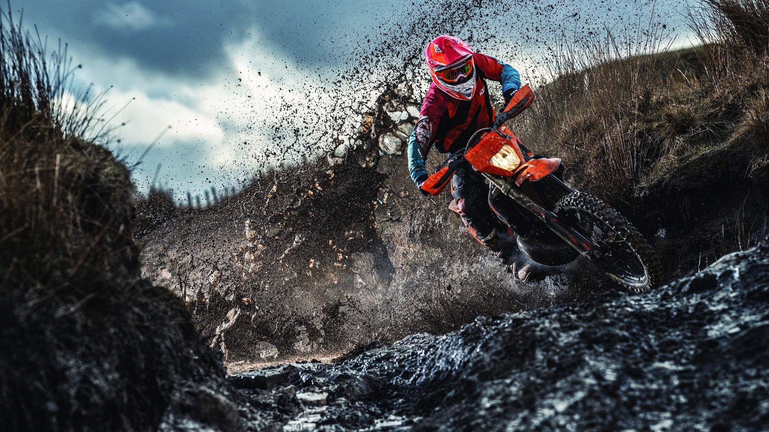 球迷为何频繁怒骂球员？追梦直言，联盟禁止还嘴激化矛盾！